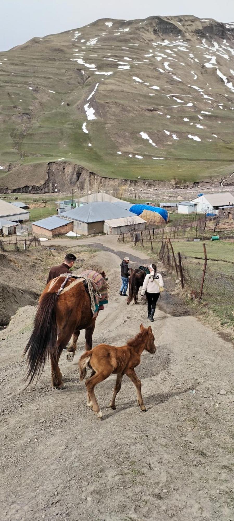 Xinaliq Elnur Guest House, New Hotel Exteriér fotografie
